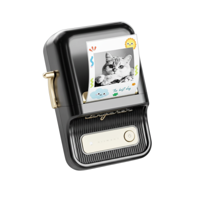 Niimbot B21 PRO Siyah Termal Etiket Yazıcı (300 DPI) - 1